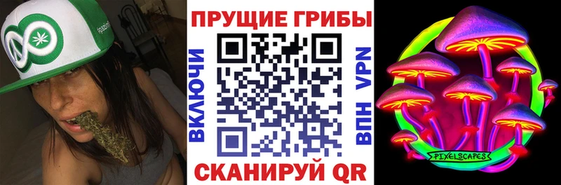 Псилоцибиновые грибы Psilocybine cubensis  Купить закладки  Спас-Клепики 