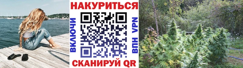 Купить закладки  Спас-Клепики  Бошки марихуана White Widow 